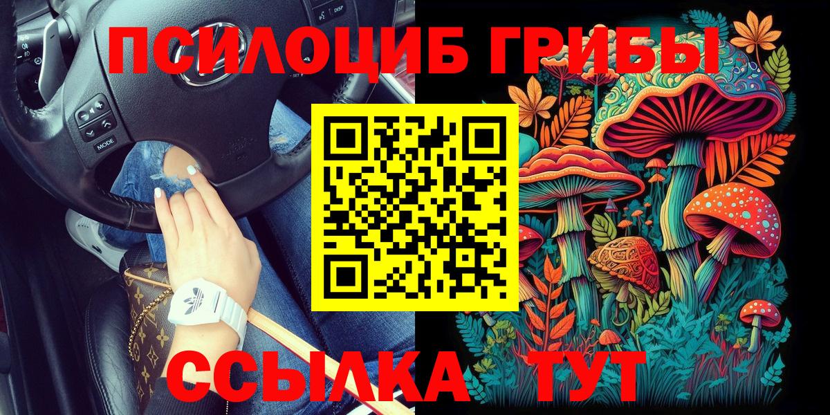 Белогорск  Псилоцибиновые грибы Psilocybe  Вход с VPN  Псилоцибиновые грибы GOLDEN TEACHER 